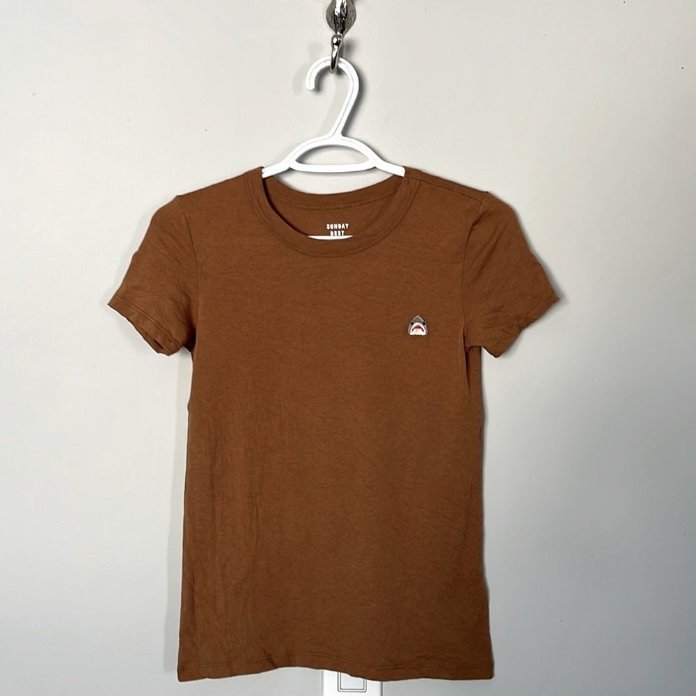 Aritzia Brown T-Shirt